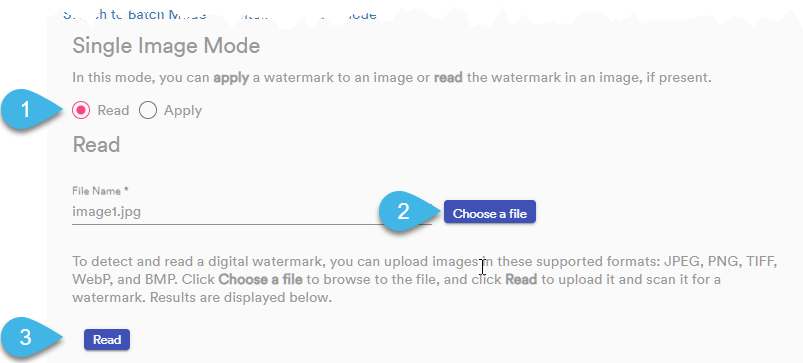 Single Image mode for reading watermarks with callouts