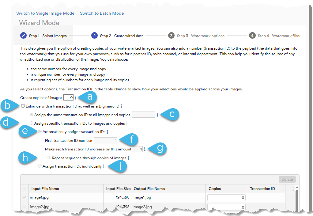 Wizard mode customized data options on step 2